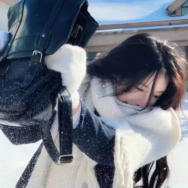 丑闻录带大阴谋
